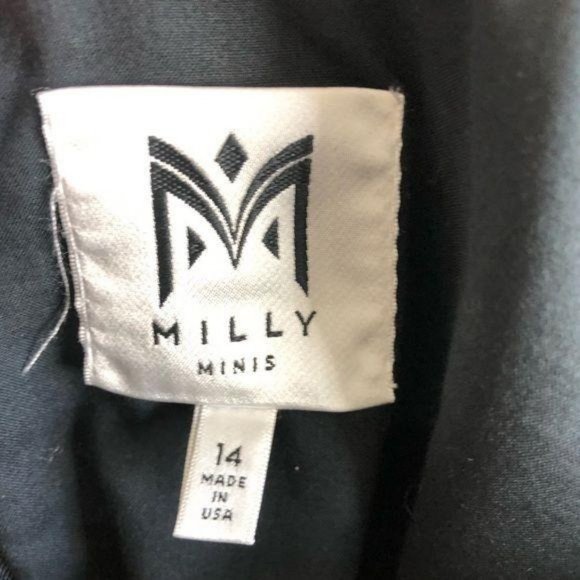 Milly Minis Bella Party Dress Ruffles Swing - Picture 5 of 6